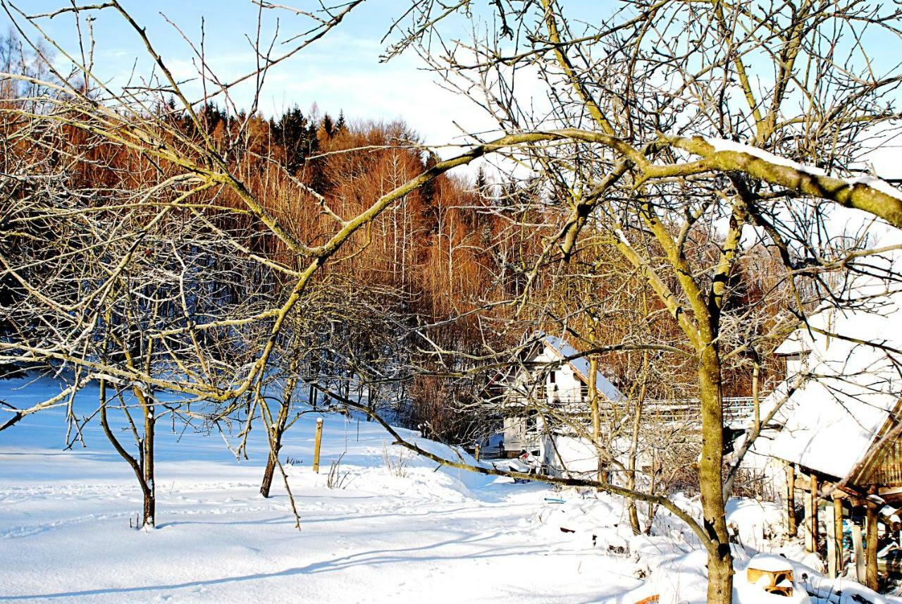 Biotanika Villa Michalkowa Luaran gambar